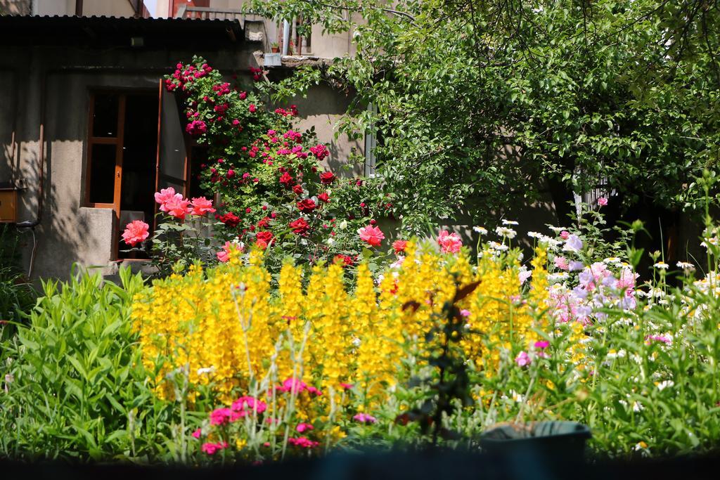 Hotel Mira Goris Exteriör bild